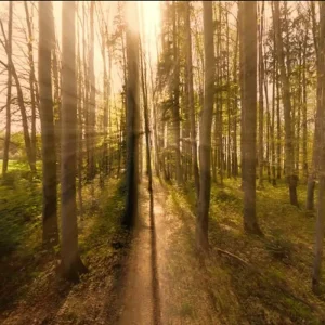 Zapatoca Trail Running