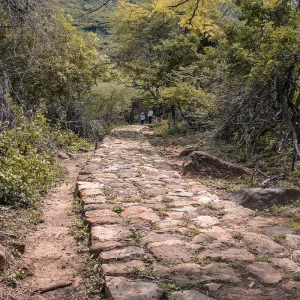 El Camino del Lengerke